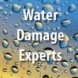 Photo by Dry-Tech Water Damage Restoration  Services.  - thumbnail