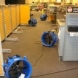 Photo by Dry-Tech Water Damage Restoration  Services. DRYTECH RESTORATION SERVICES - thumbnail