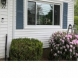 Photo by Vista Home Improvement. Windows - thumbnail